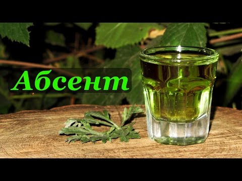 Jak pít a jak jíst doma absint