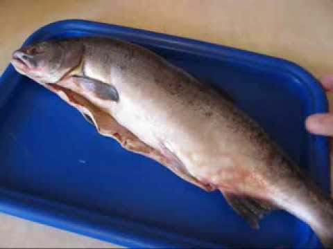 Jak solit lososa doma - 8 receptů krok za krokem