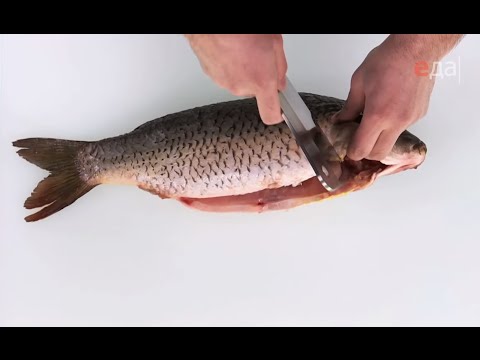 Jak čistit říční ryby od šupin a hlenu