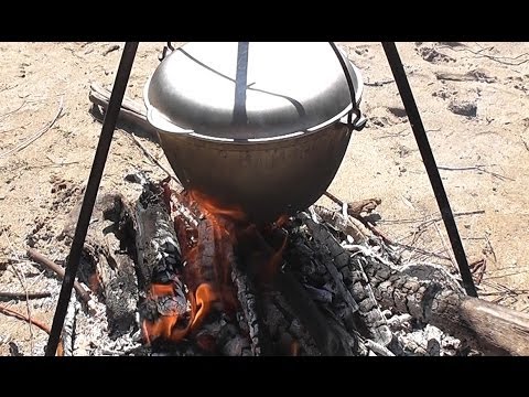 Ucho z lososa, kapra, kapra, okoun - recepty
