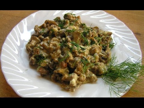 Liškové houby, hříbky, ústřice houby - recepty na vaření krok za krokem