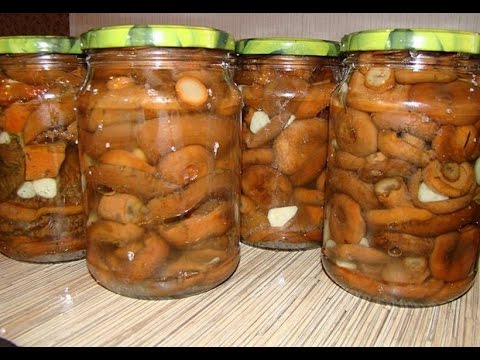 Jak solit houby houby - recepty krok za krokem