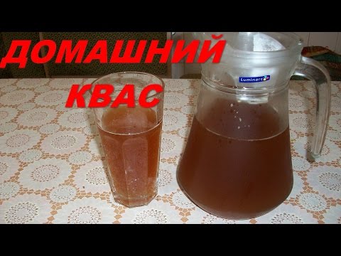 Jak vyrobit kvas z čekanky - 4 recepty krok za krokem s videem