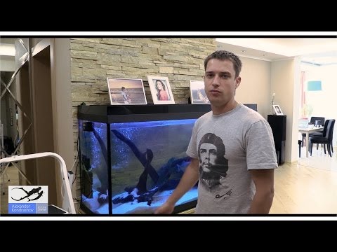 Jak čistit akvárium - plán čištění krok za krokem