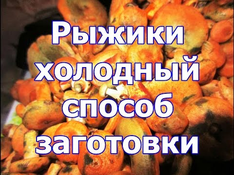 Jak solit houby houby - recepty krok za krokem