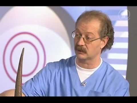Ekzém na rukou: jak zacházet, typy a příznaky, správné léky