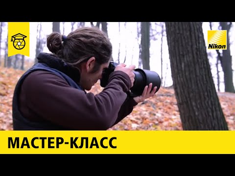 Hogyan lehet megtanulni professzionálisan fényképezni?