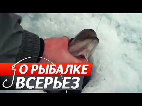 Jak chytit štiku - tipy profesionálních rybářů