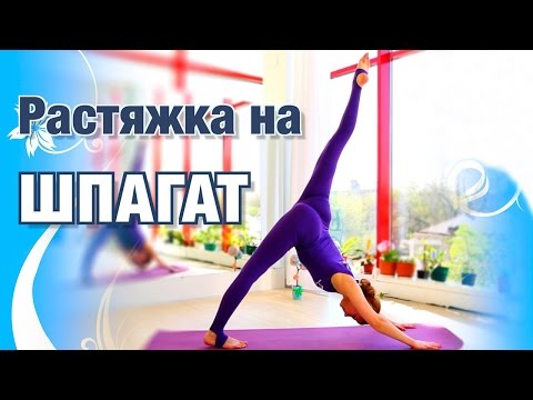 Jak se naučit sedět na provázku - video návody a cvičení
