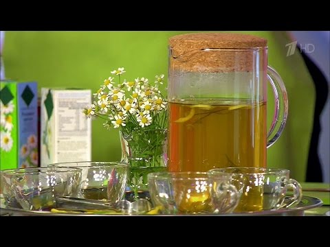 Heřmánek tráva - léčivé vlastnosti a kontraindikace