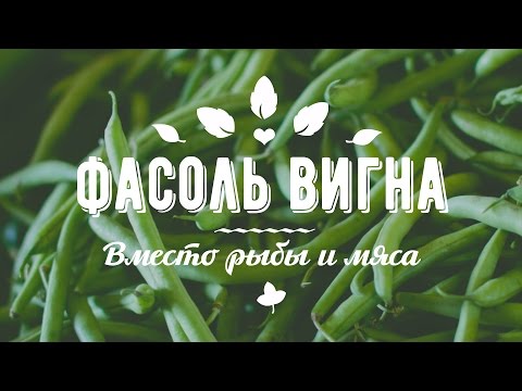 Výhody a poškození různých druhů fazolí