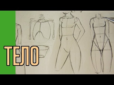 Com aprendre a dibuixar l'anime des de zero