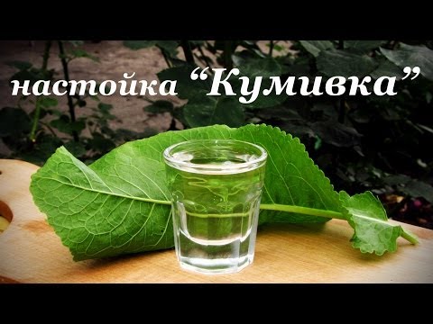 Jak si vyrobit stolní křen a alkoholovou tinkturu doma