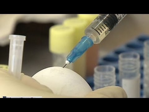 Příznaky H1N1 chřipky u lidí