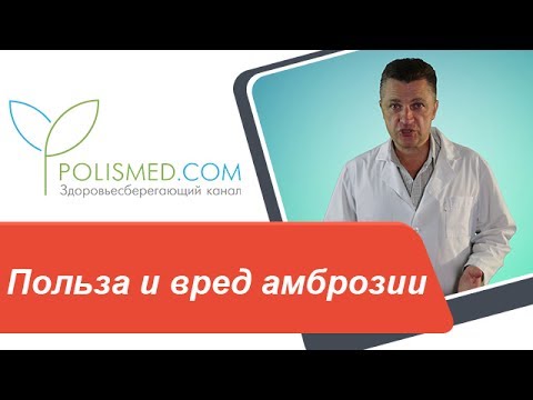 אמברוזיה - כאשר היא פורחת, מועילה ופוגעת