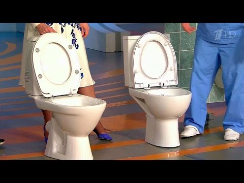 כיצד לבחור את השירותים הנכונים - ייעוץ מומחה