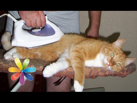 Come scegliere un ferro da stiro per uso domestico