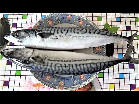 Com netejar el burbot, el pollastre i la verat