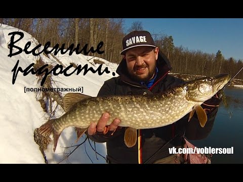 Jak chytit štiku - tipy profesionálních rybářů