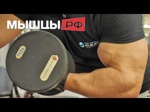 Jak budovat svaly doma - tréninkový program