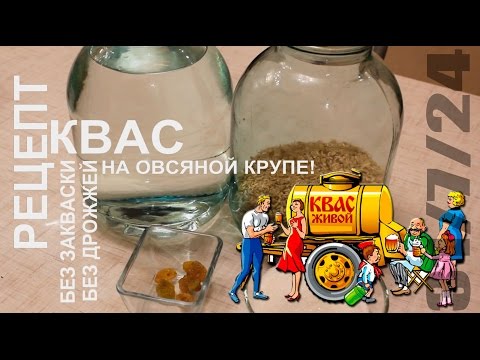 Jak vyrobit kvas z chleba - 11 receptů krok za krokem