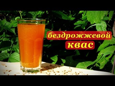 Jak vyrobit kvas ze sladu - 7 receptů krok za krokem