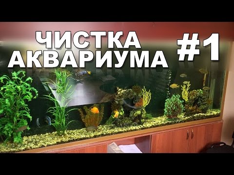 Jak čistit akvárium - plán čištění krok za krokem