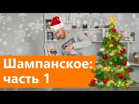 Jak vyrobit víno z hroznů doma