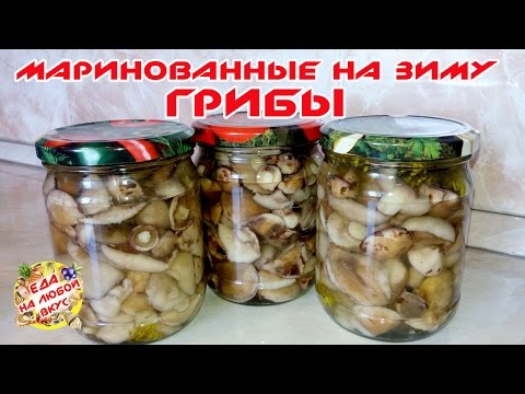 Jak solit Russulu doma na zimu