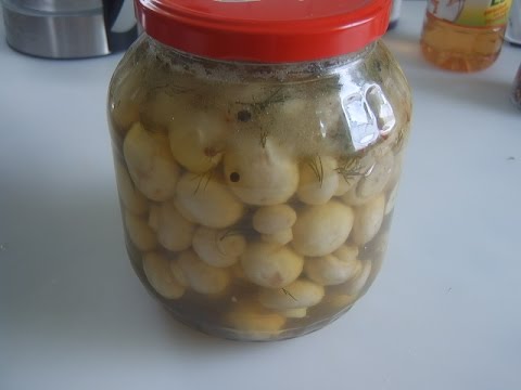 Jak nakládat žampiony doma