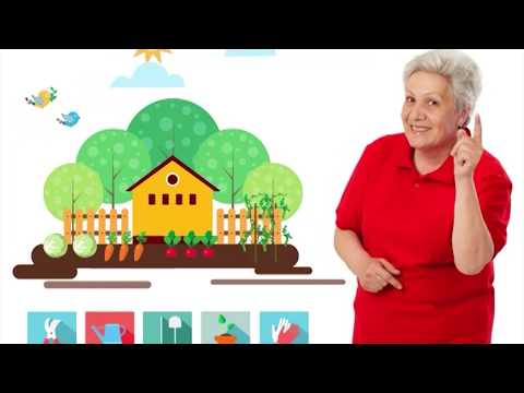 לוח זריעה לגננות לשנת 2024