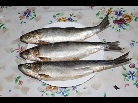 Jak solit sledě doma - 9 receptů krok za krokem