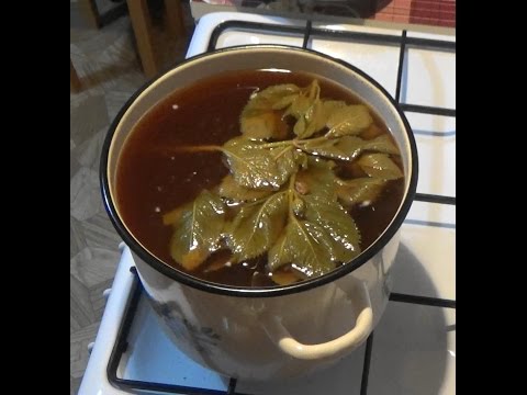 Jak vyrobit kvas z čekanky - 4 recepty krok za krokem s videem