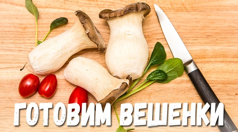 Hlívy ústřičné s rajčaty