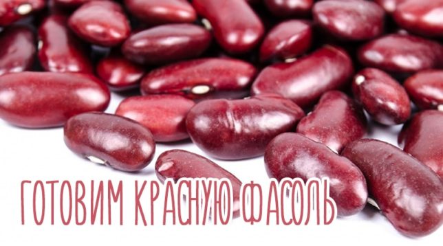 Červené fazole