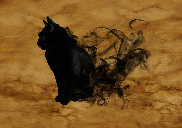 Gatto magico