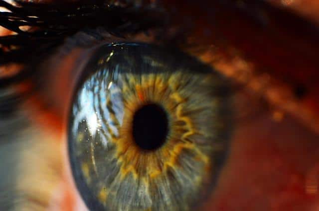 Detailní fotografie oka