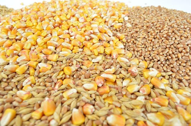 Collage di diversi cereali