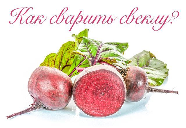 Čerstvé řepy
