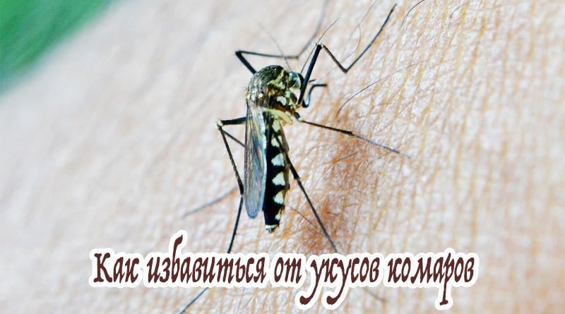 Mosquito po ruce