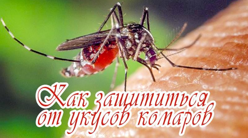 Jak se zbavit komárů