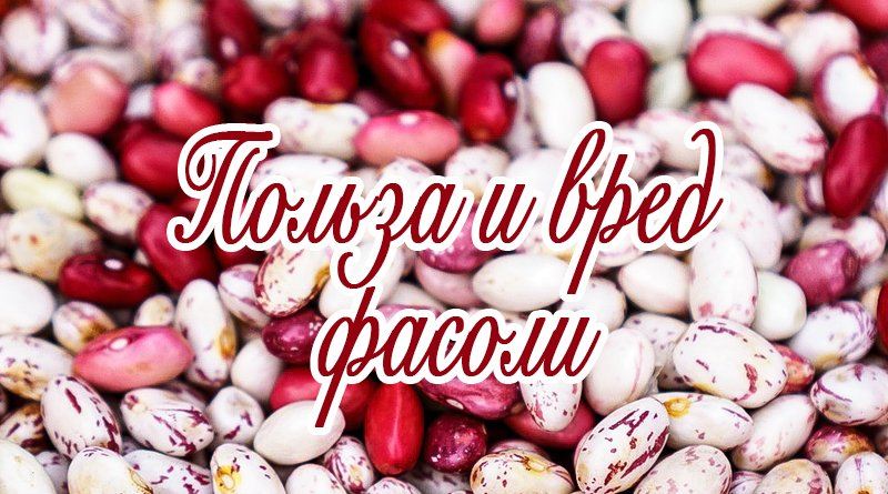 Výhody a poškození fazolí
