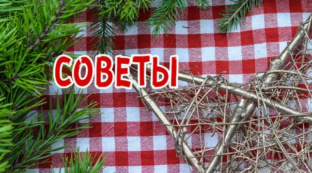 Rybí kost