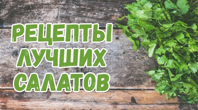 פטרוזיליה על השולחן