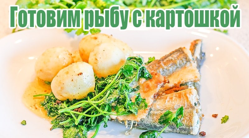 Ryby s bramborami a zelení na misce