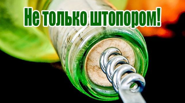 Vývrtka ve vinném korku