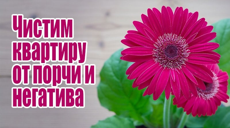 פרחים על השולחן