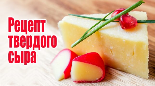 Tvrdý sýr z tvarohu a mléka