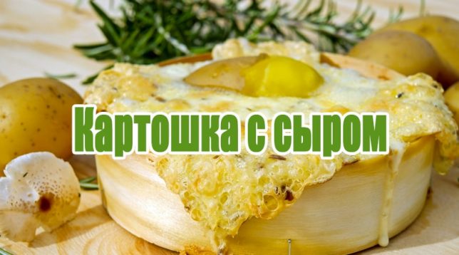 Kartoffel mit Käse