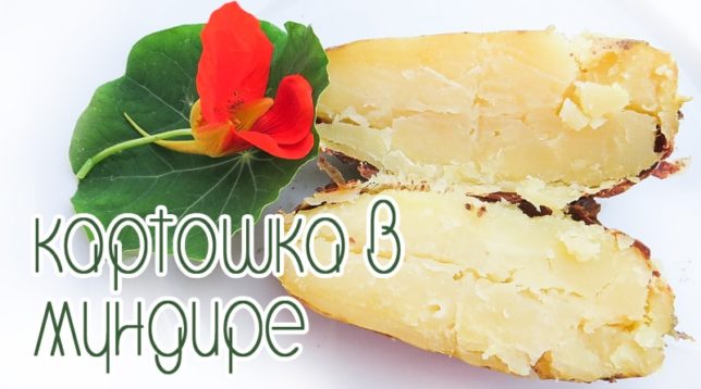 Bramborová bunda